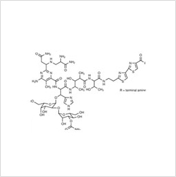 Bleomycin Injection