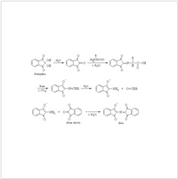 Human Albumin