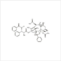 Paclitaxel Injection